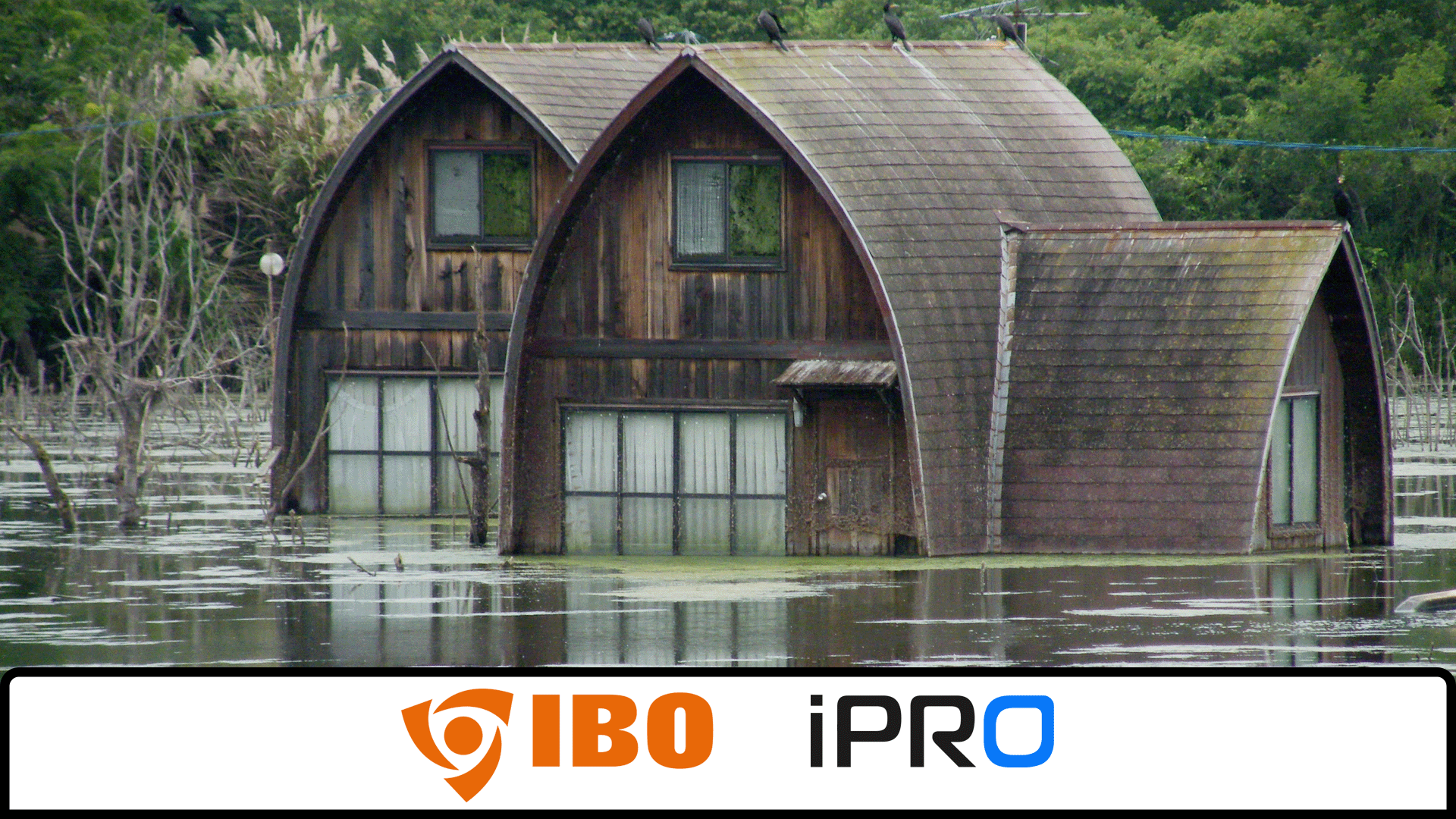 Co robić w przypadku zalania garażu lub piwnicy?