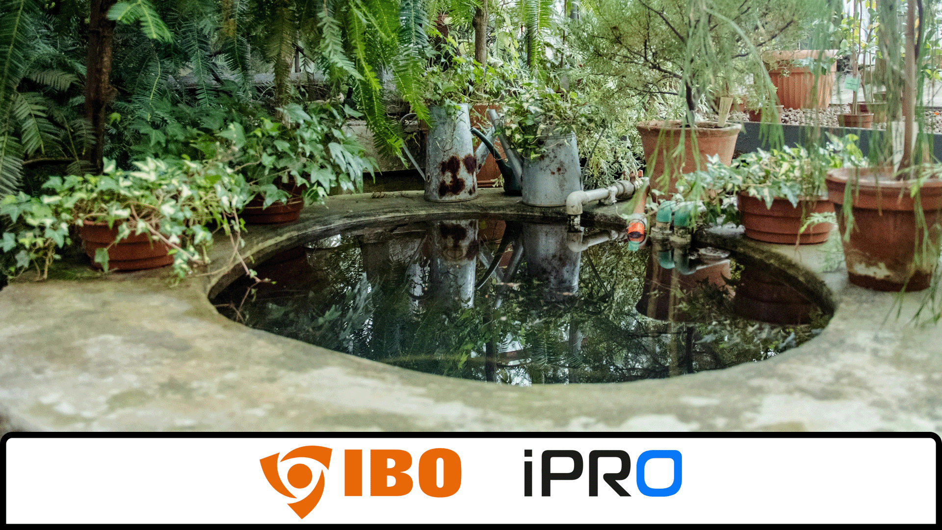 Jaki sprzęt sprawdzi się w przypadku podlewania ogrodu wodą z sadzawki?