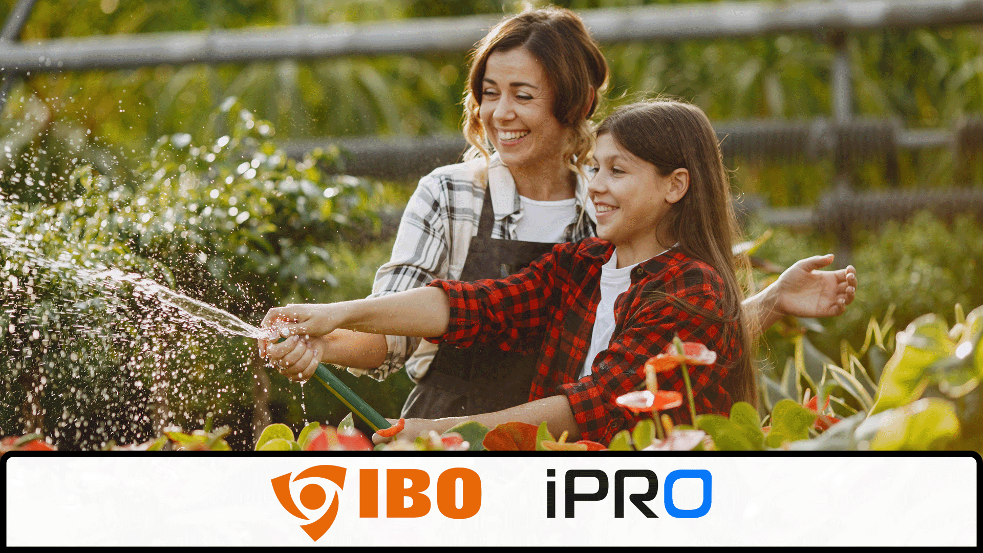 Jak dobrać pompę ogrodową do studni i deszczówki – Dambat