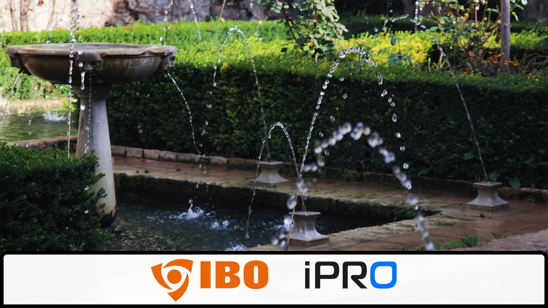 Fontanny do oczek wodnych – pompy fontannowe od Dambat