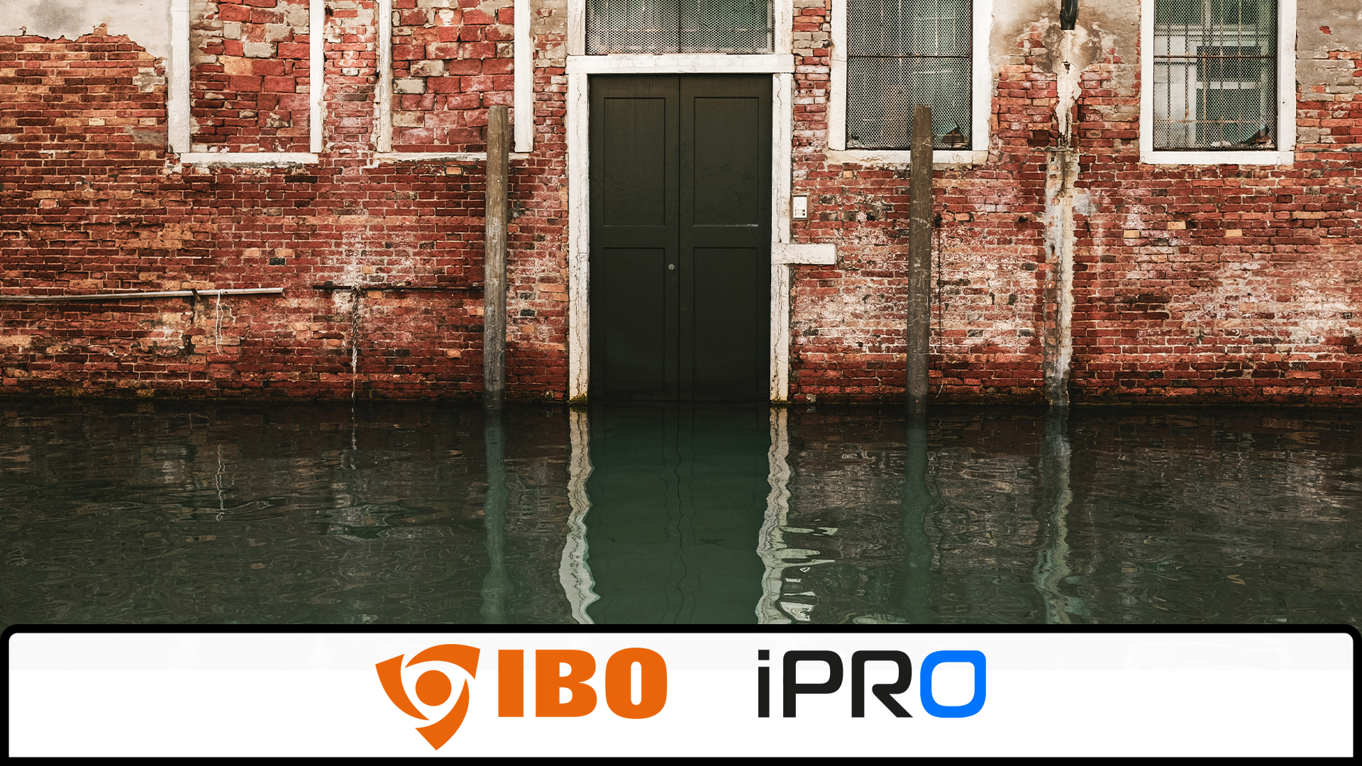 Zalanie piwnicy – kompleksowy poradnik producenta Dambat (IBO / IPRO)