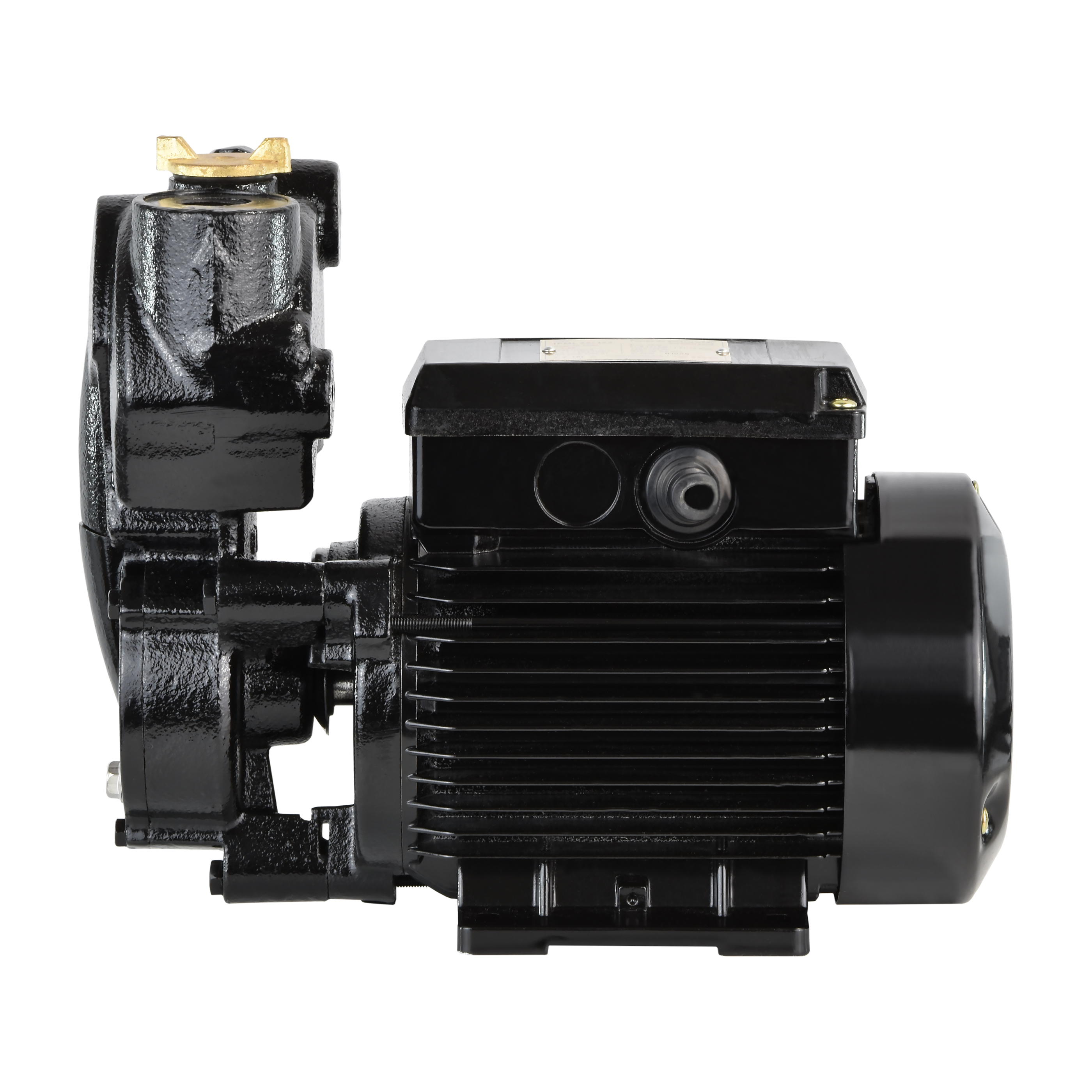 IPML 25-125 (0,125 кВт, 230 В) Циркуляционный насос