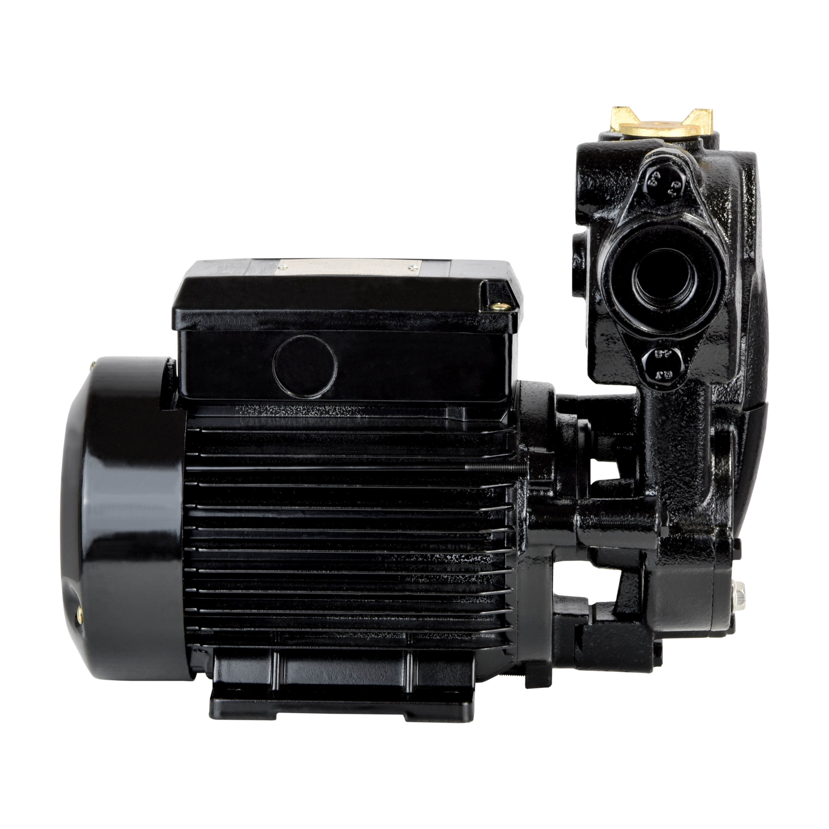 IPML 25-125 (0,125 кВт, 230 В) Циркуляционный насос