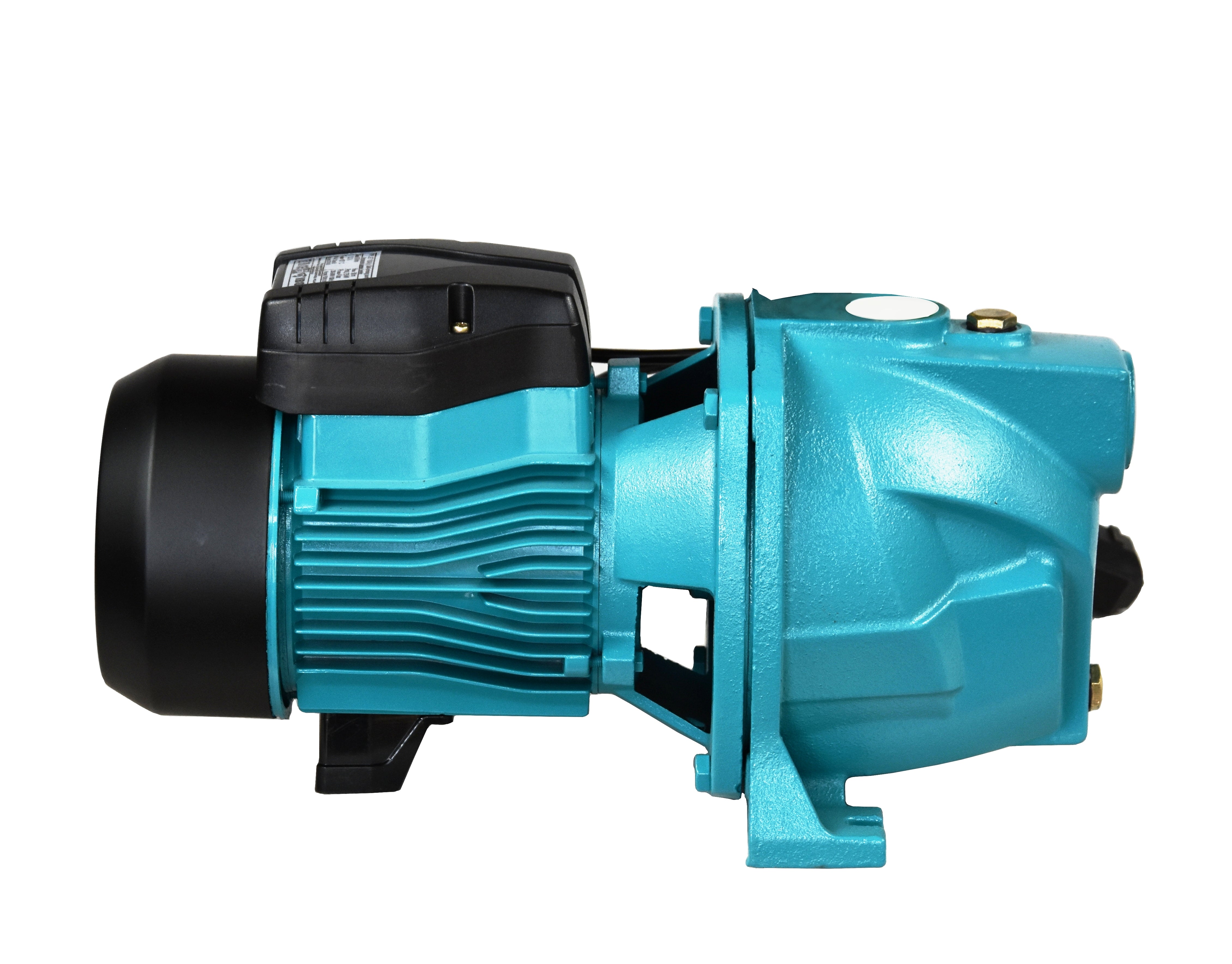 JSW 100 (1,1 kW, 230 V) pompa z osprzętem
