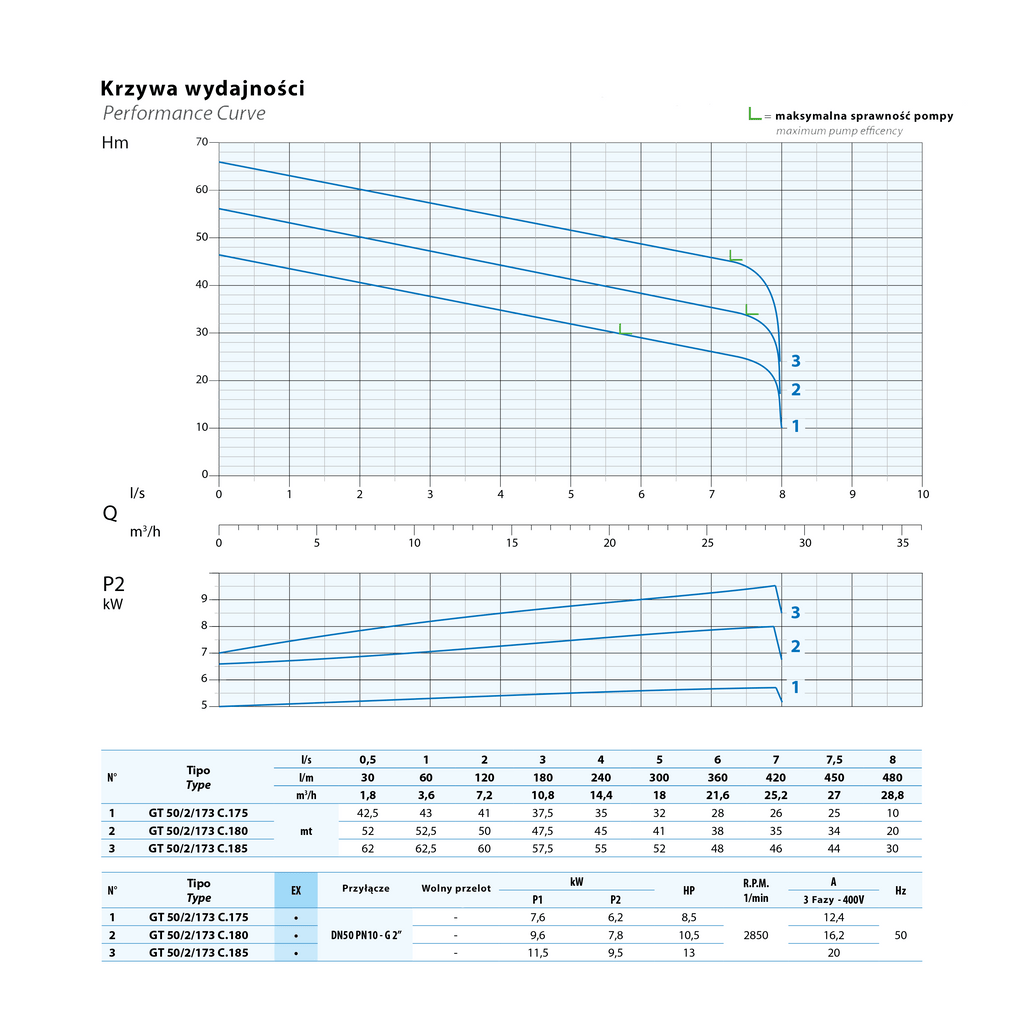 GT-EX 50/2/173 C.175 – Pumpenkennlinie